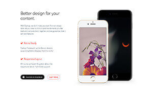 Wordpress Design