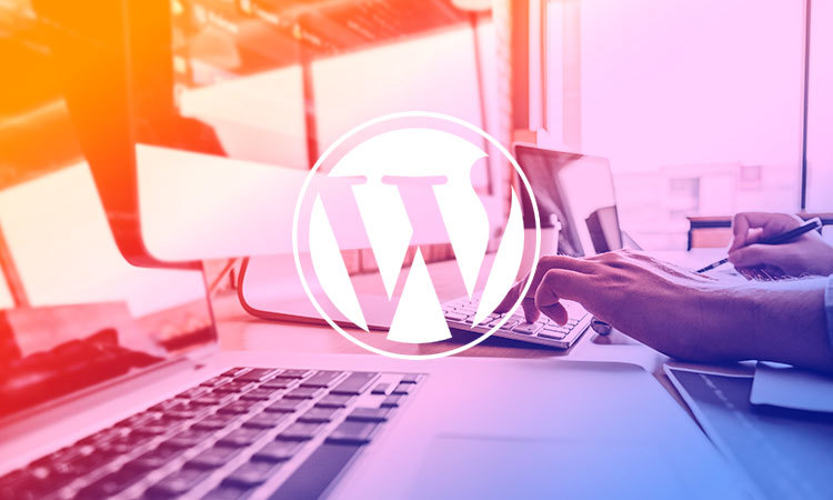 Wordpress design